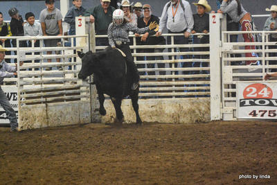 Cow Riding